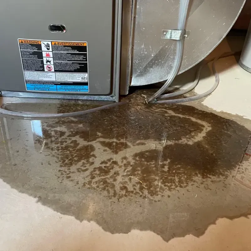 Appliance Leak Cleanup in Spindale, NC